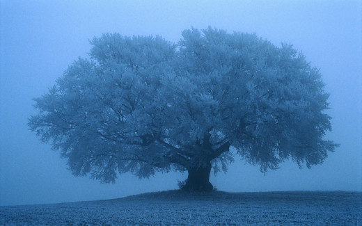 359906 (a): :1920x1200
